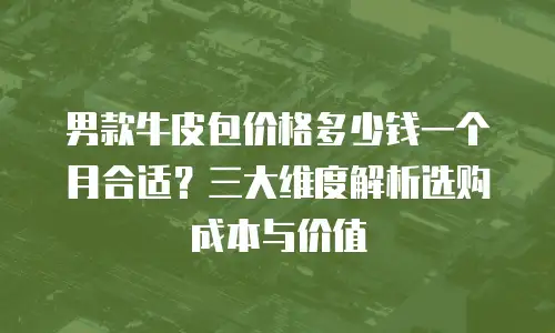 男款牛皮包价格多少钱一个月合适？三大维度解析选购成本与价值