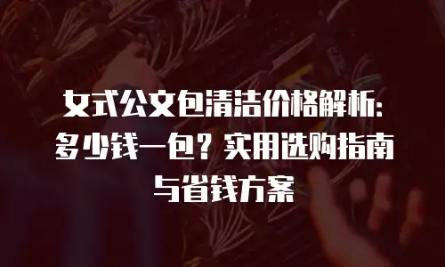 女式公文包清洁价格解析：多少钱一包？实用选购指南与省钱方案