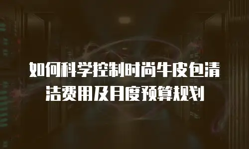 如何科学控制时尚牛皮包清洁费用及月度预算规划