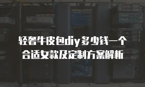 轻奢牛皮包diy多少钱一个合适女款及定制方案解析