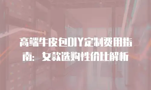 高端牛皮包DIY定制费用指南：女款选购性价比解析
