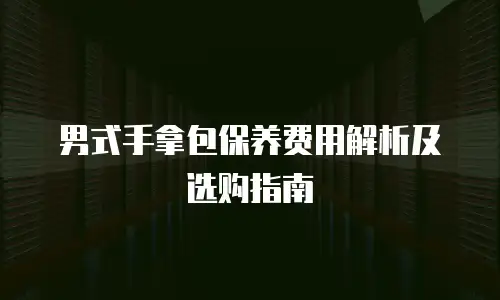 男式手拿包保养费用解析及选购指南