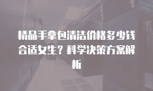 精品手拿包清洁价格多少钱合适女生？科学决策方案解析