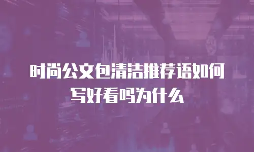 时尚公文包清洁推荐语如何写好看吗为什么