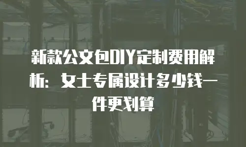 新款公文包DIY定制费用解析：女士专属设计多少钱一件更划算