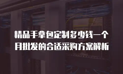 精品手拿包定制多少钱一个月批发的合适采购方案解析