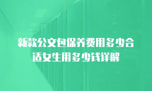 新款公文包保养费用多少合适女生用多少钱详解