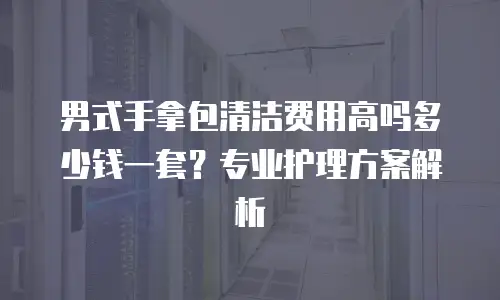 男式手拿包清洁费用高吗多少钱一套？专业护理方案解析