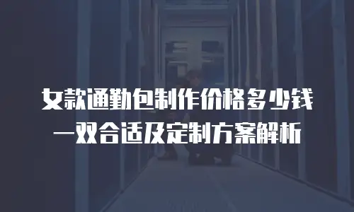 女款通勤包制作价格多少钱一双合适及定制方案解析