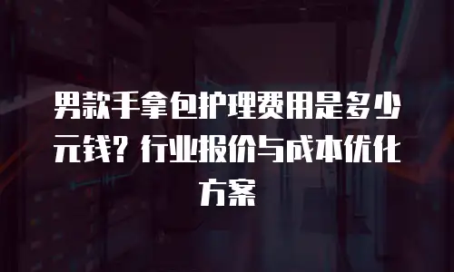 男款手拿包护理费用是多少元钱？行业报价与成本优化方案