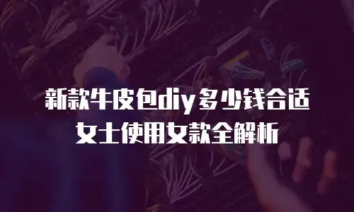 新款牛皮包diy多少钱合适女士使用女款全解析