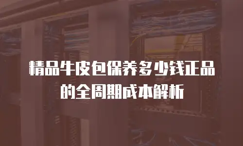精品牛皮包保养多少钱正品的全周期成本解析