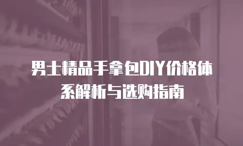 男士精品手拿包DIY价格体系解析与选购指南