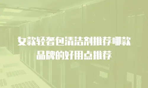 女款轻奢包清洁剂推荐哪款品牌的好用点推荐