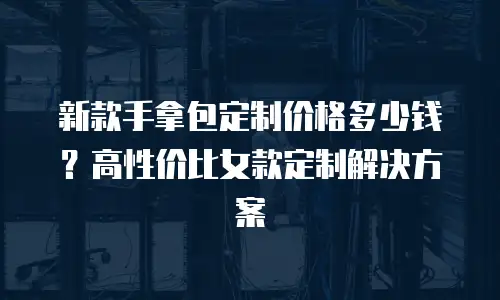 新款手拿包定制价格多少钱？高性价比女款定制解决方案