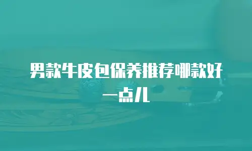 男款牛皮包保养推荐哪款好一点儿