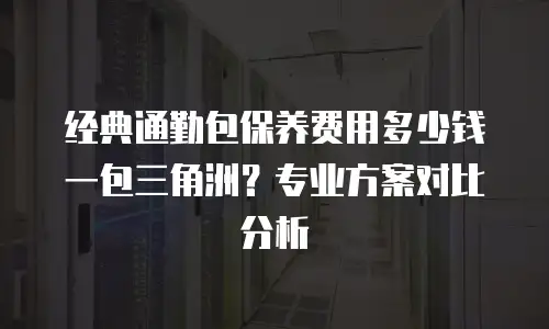 经典通勤包保养费用多少钱一包三角洲？专业方案对比分析