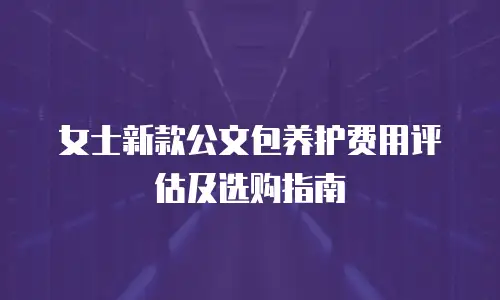 女士新款公文包养护费用评估及选购指南