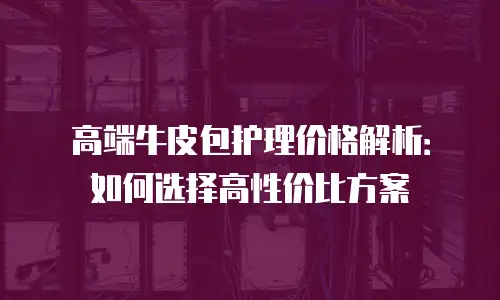 高端牛皮包护理价格解析：如何选择高性价比方案