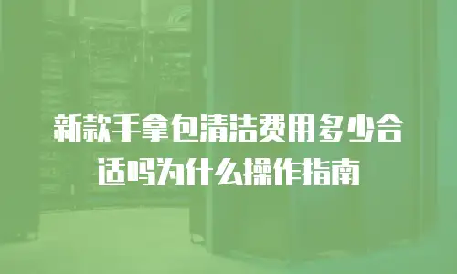 新款手拿包清洁费用多少合适吗为什么操作指南