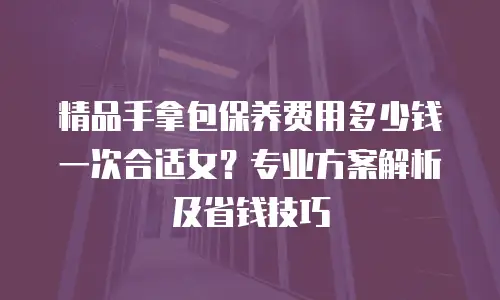 精品手拿包保养费用多少钱一次合适女？专业方案解析及省钱技巧