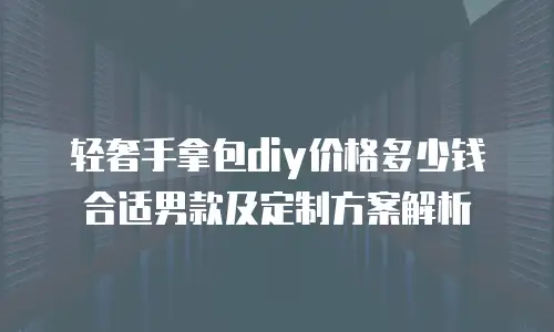 轻奢手拿包diy价格多少钱合适男款及定制方案解析