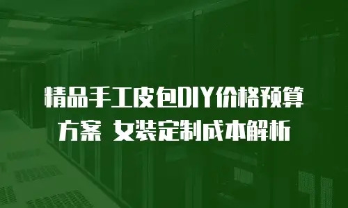 精品手工皮包DIY价格预算方案 女装定制成本解析