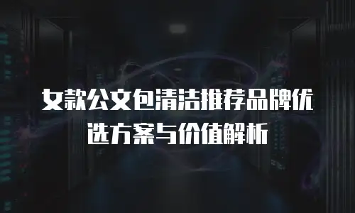 女款公文包清洁推荐品牌优选方案与价值解析