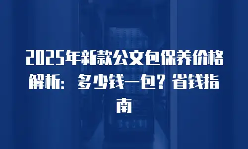 2025年新款公文包保养价格解析：多少钱一包？省钱指南
