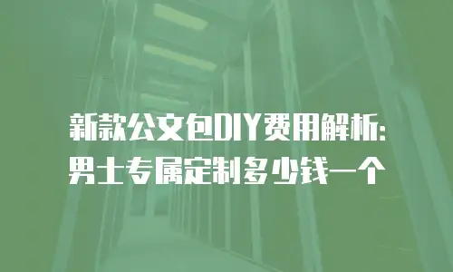 新款公文包DIY费用解析：男士专属定制多少钱一个