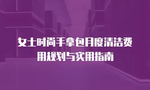 女士时尚手拿包月度清洁费用规划与实用指南
