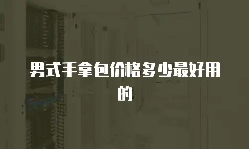 男式手拿包价格多少最好用的