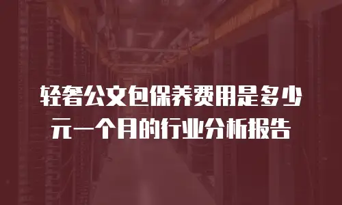 轻奢公文包保养费用是多少元一个月的行业分析报告