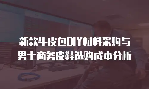 新款牛皮包DIY材料采购与男士商务皮鞋选购成本分析