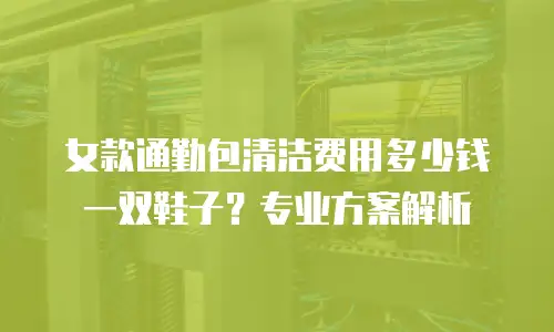 女款通勤包清洁费用多少钱一双鞋子？专业方案解析