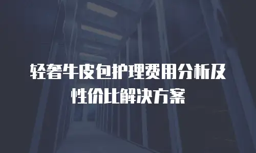 轻奢牛皮包护理费用分析及性价比解决方案