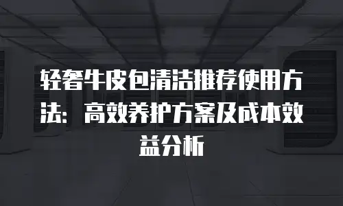 轻奢牛皮包清洁推荐使用方法：高效养护方案及成本效益分析