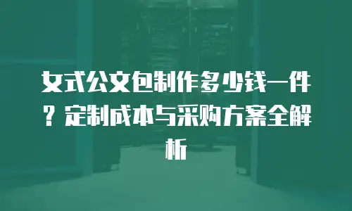 女式公文包制作多少钱一件？定制成本与采购方案全解析