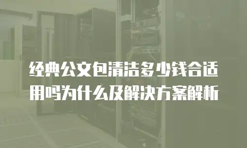 经典公文包清洁多少钱合适用吗为什么及解决方案解析