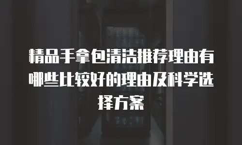 精品手拿包清洁推荐理由有哪些比较好的理由及科学选择方案