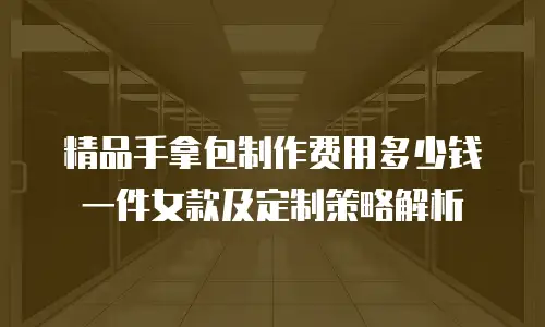 精品手拿包制作费用多少钱一件女款及定制策略解析