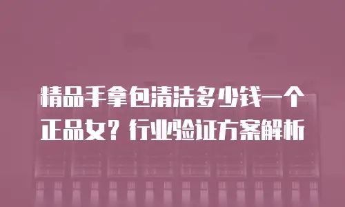 精品手拿包清洁多少钱一个正品女？行业验证方案解析