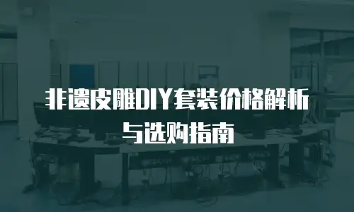 非遗皮雕DIY套装价格解析与选购指南