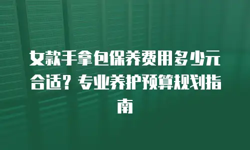 女款手拿包保养费用多少元合适？专业养护预算规划指南