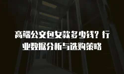 高端公文包女款多少钱？行业数据分析与选购策略