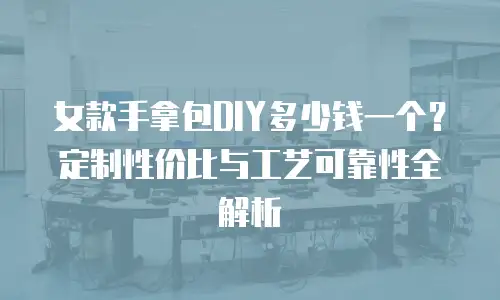 女款手拿包DIY多少钱一个？定制性价比与工艺可靠性全解析