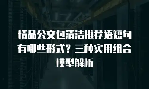精品公文包清洁推荐语短句有哪些形式？三种实用组合模型解析