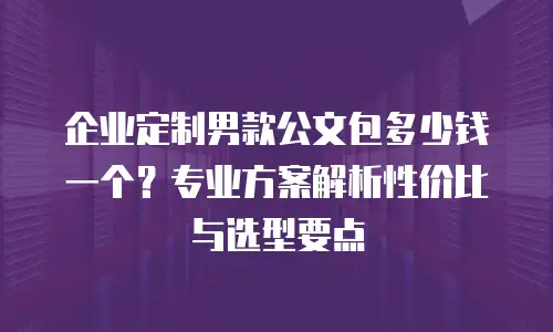 企业定制男款公文包多少钱一个？专业方案解析性价比与选型要点