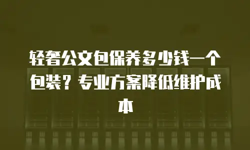 轻奢公文包保养多少钱一个包装？专业方案降低维护成本