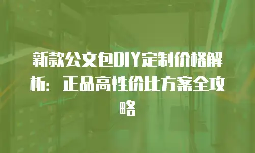 新款公文包DIY定制价格解析：正品高性价比方案全攻略